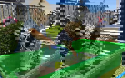 131995217_250161446524991_2496858844921331436_o.jpg