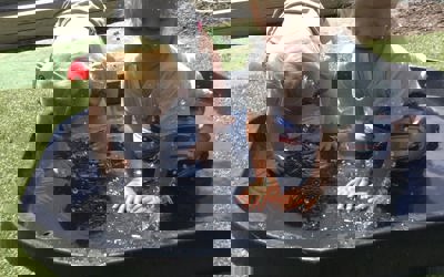 132134631_250161509858318_3557301038778270986_o.jpg