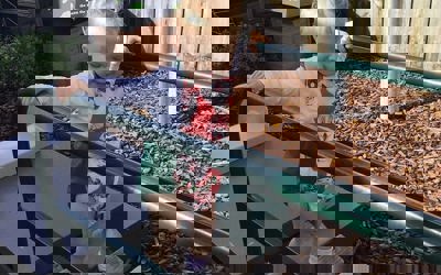 143025204_274120670795735_1614685396636216012_n.jpg