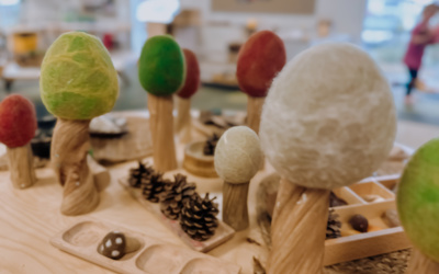 Natural Papoose earth trees at Little Wonders in Timaru