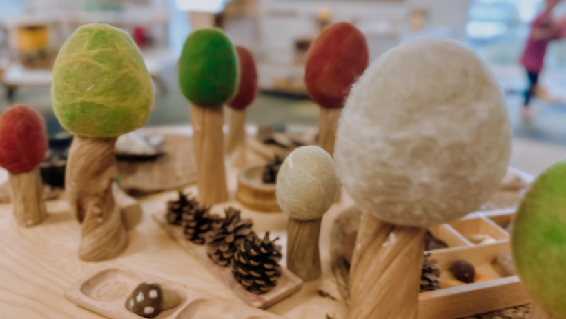 Natural Papoose earth trees at Little Wonders in Timaru