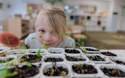 Child looking over some seedling plants in the prep room at Little Wonders in Timaru